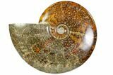 Polished, Agatized Ammonite (Cleoniceras) - Madagascar #104853-1